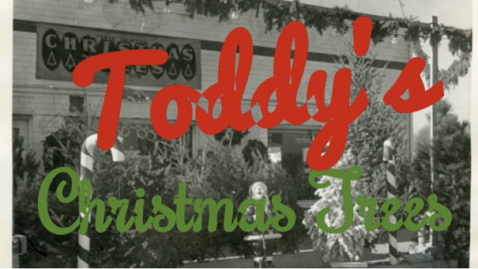 Toddy’s Christmas Tree Lot Update